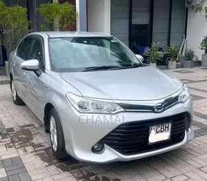 Toyota Axio 2018 Car (Used)