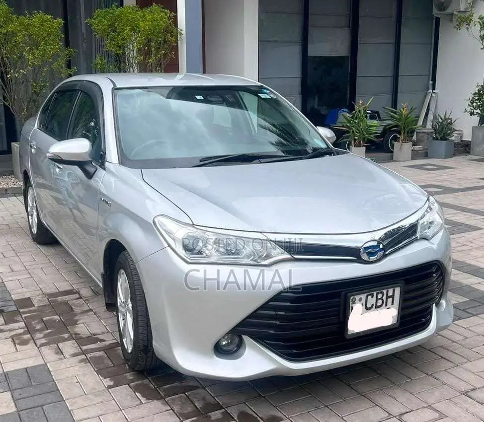 Toyota Axio 2018 Car (Used)