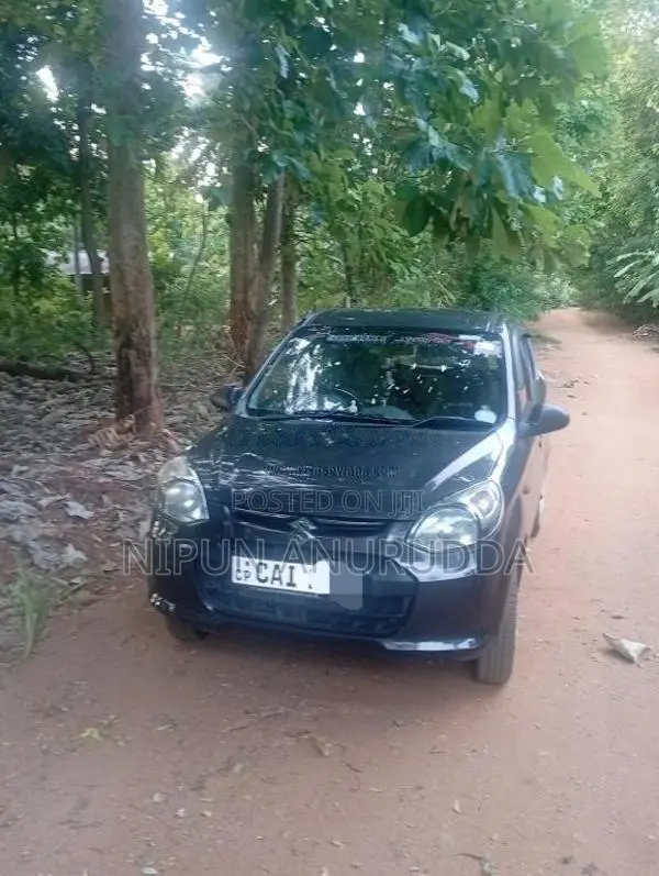 Suzuki Alto 2015 Car (Used)