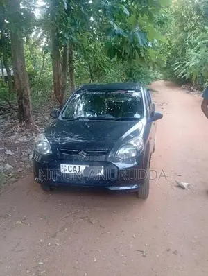Suzuki Alto 2015 Car (Used)