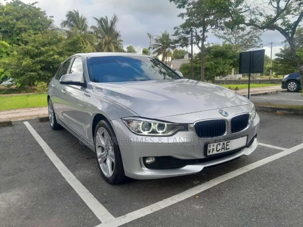 BMW 316i 2015 Car (Used)