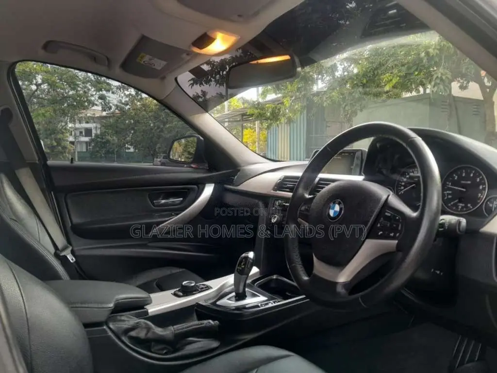 BMW 316i 2015 Car (Used)