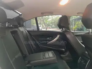 BMW 316i 2015 Car (Used)