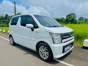 Suzuki Wagon R 2018 Car (Used)