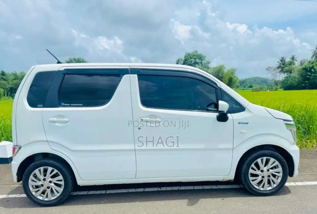 Suzuki Wagon R 2018 Car (Used)