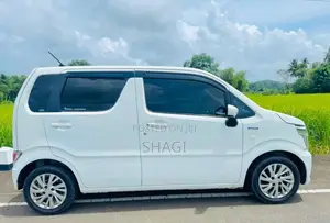 Suzuki Wagon R 2018 Car (Used)