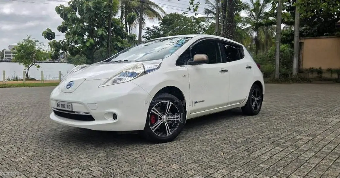 Nissan Leaf 2014 Car (Used)