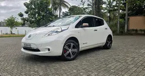 Nissan Leaf 2014 Car (Used)
