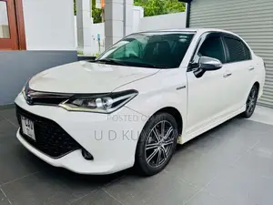Toyota Axio WXB 2016 Car (Used)