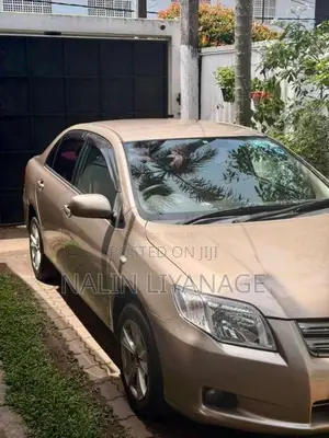 Toyota Axio 2007 Car (Used)