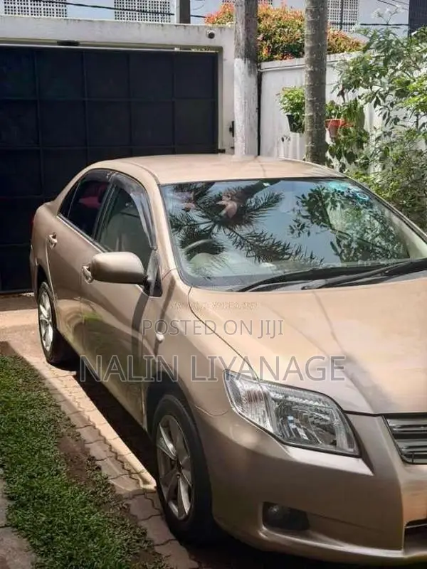 Toyota Axio 2007 Car (Used)