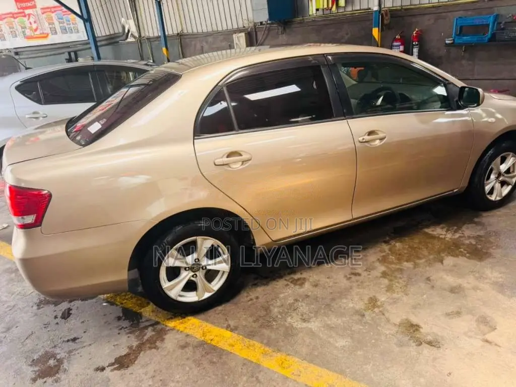 Toyota Axio 2007 Car (Used)