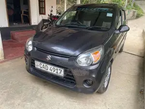 Suzuki Alto 2015 Car (Used)