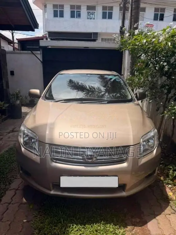 Toyota Axio 2007 Car (Used)