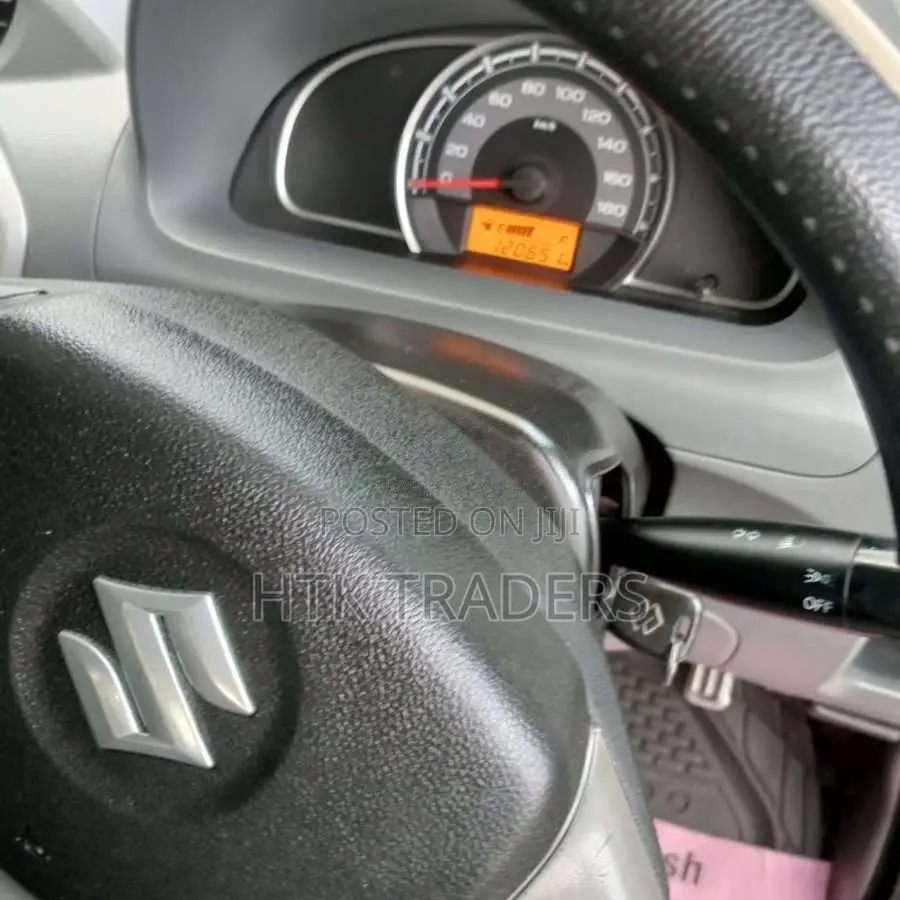 Suzuki Alto 2015 Car (Used)