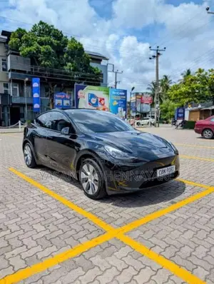 Tesla Model Y 2024 Car (Used)