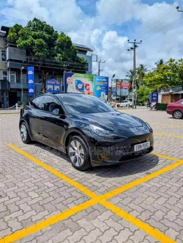 Tesla Model Y 2024 Car (Used)