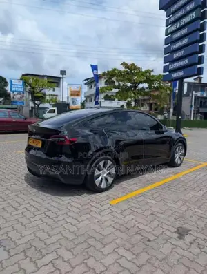 Tesla Model Y 2024 Car (Used)