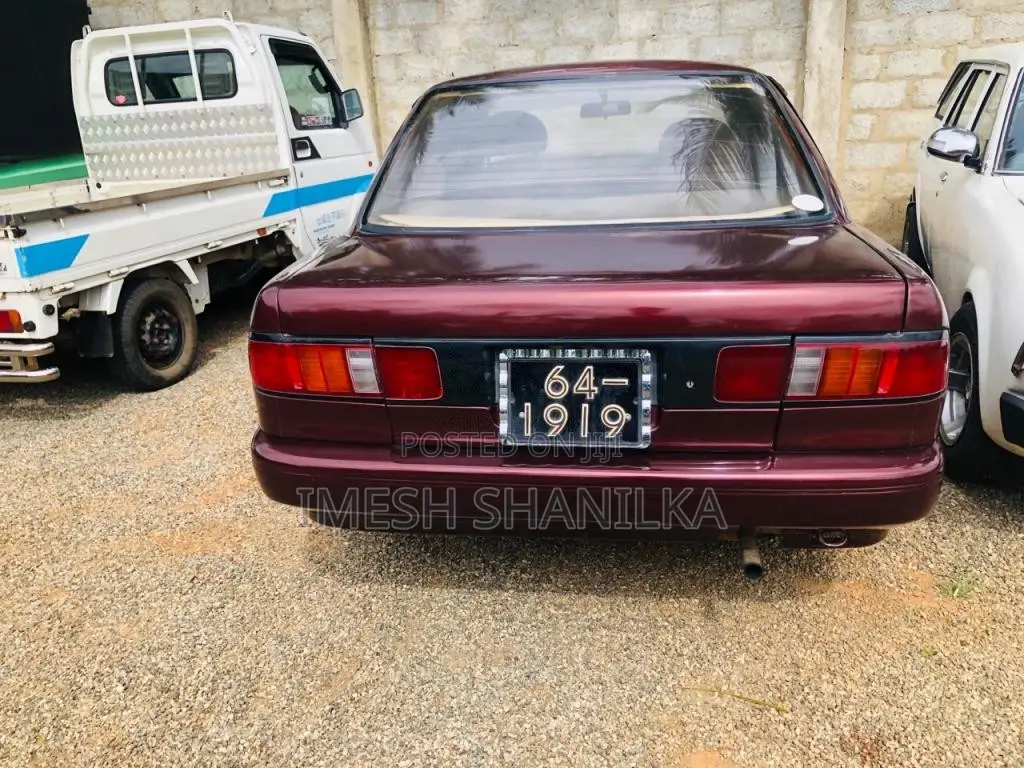 Nissan Sunny 1993 Car (Used)