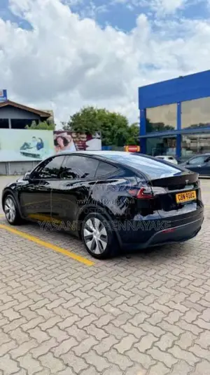 Tesla Model Y 2024 Car (Used)
