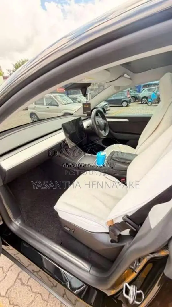 Tesla Model Y 2024 Car (Used)