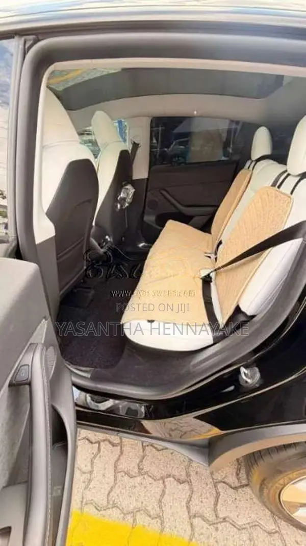 Tesla Model Y 2024 Car (Used)