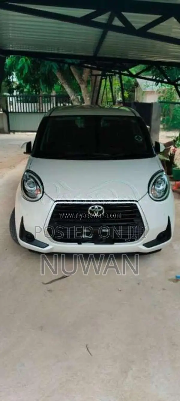 Toyota Passo 2024 Car (Used)