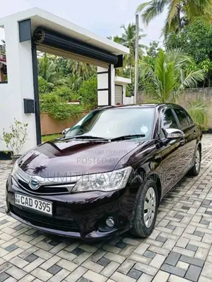Toyota Axio 2014 Car (Used)