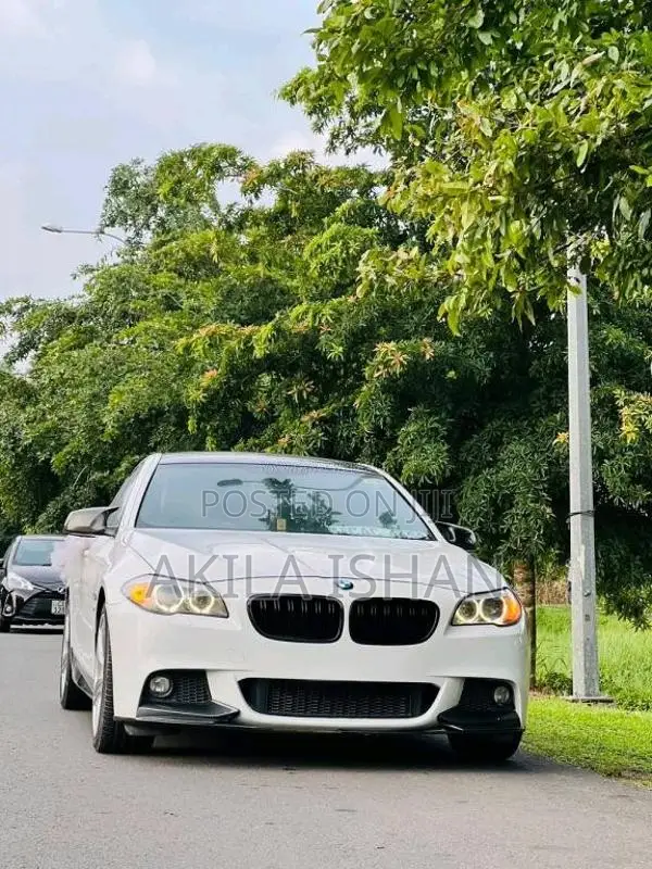 BAW 520D M Sport 2013 Car (Used)