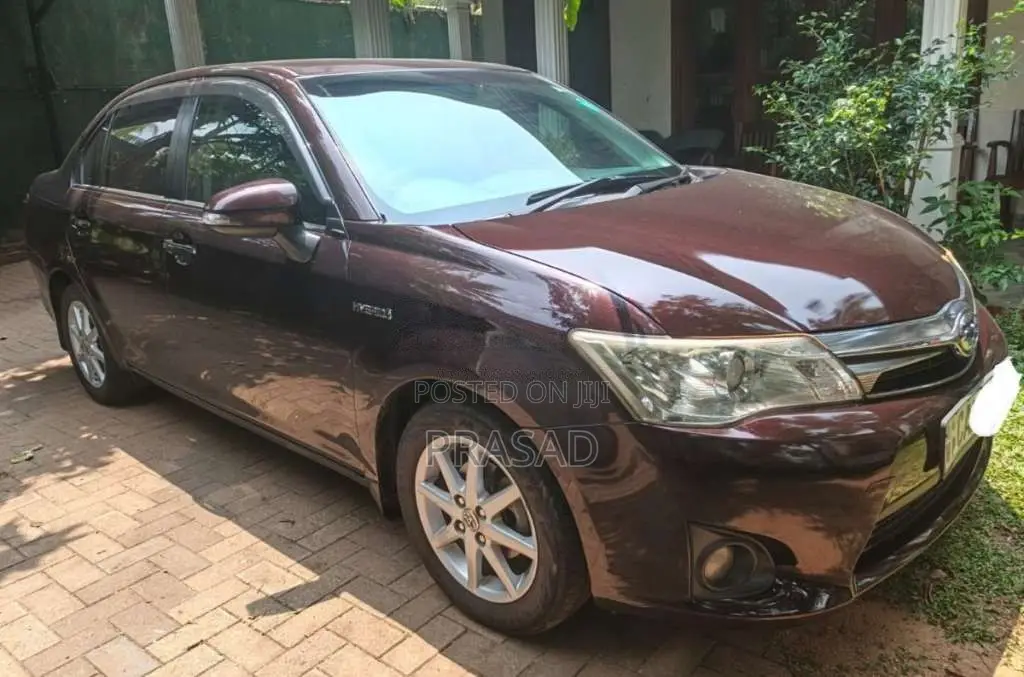 Toyota Axio 2014 Car (Used)