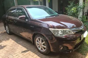 Toyota Axio 2014 Car (Used)