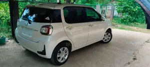 Toyota Passo 2024 Car (Used)
