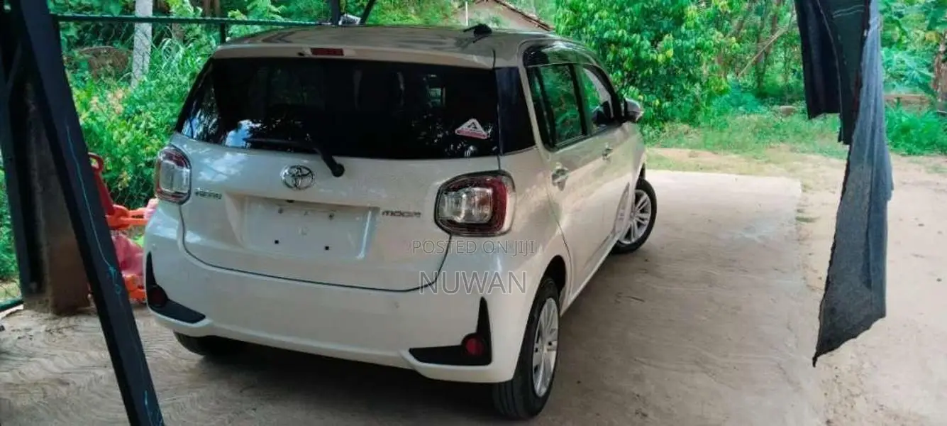 Toyota Passo 2024 Car (Used)