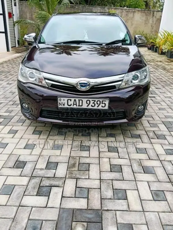 Toyota Axio 2014 Car (Used)