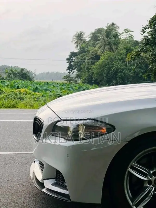 BAW 520D M Sport 2013 Car (Used)