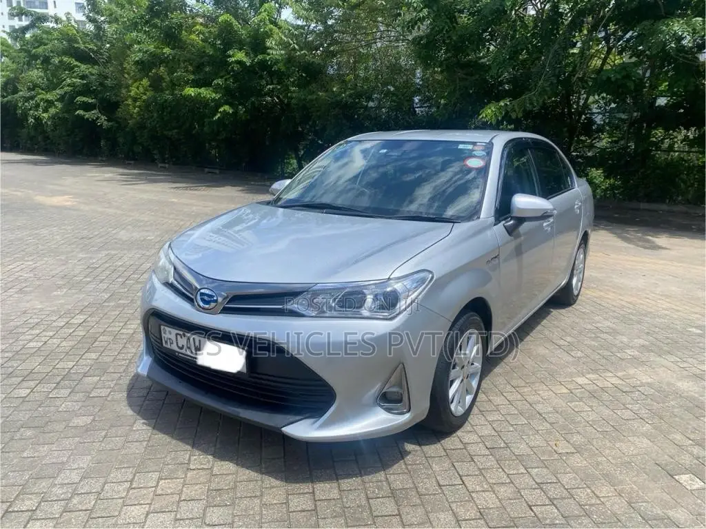 Toyota Axio 2017 Car (Used)