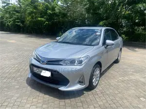 Toyota Axio 2017 Car (Used)