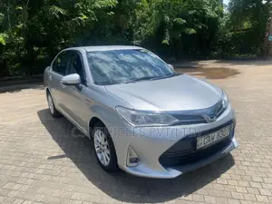Toyota Axio 2017 Car (Used)