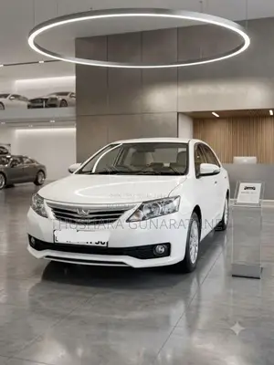 Toyota Allion 260 2013 Car (Used)