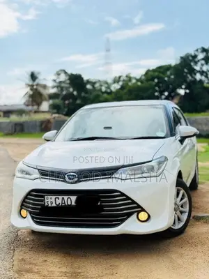 Toyota Axio 2015 Car (Used)