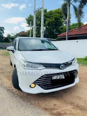 Toyota Axio 2015 Car (Used)