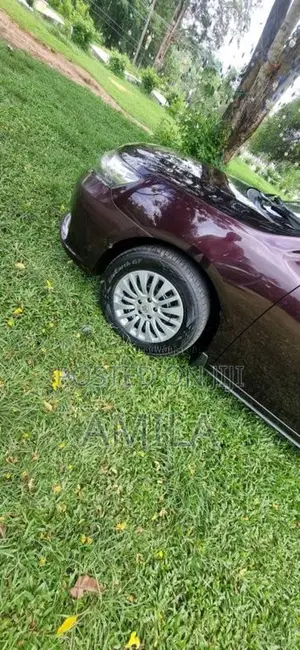 Toyota Allion G 2011 Car (Used)