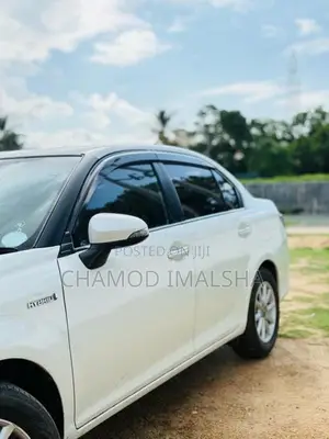 Toyota Axio 2015 Car (Used)