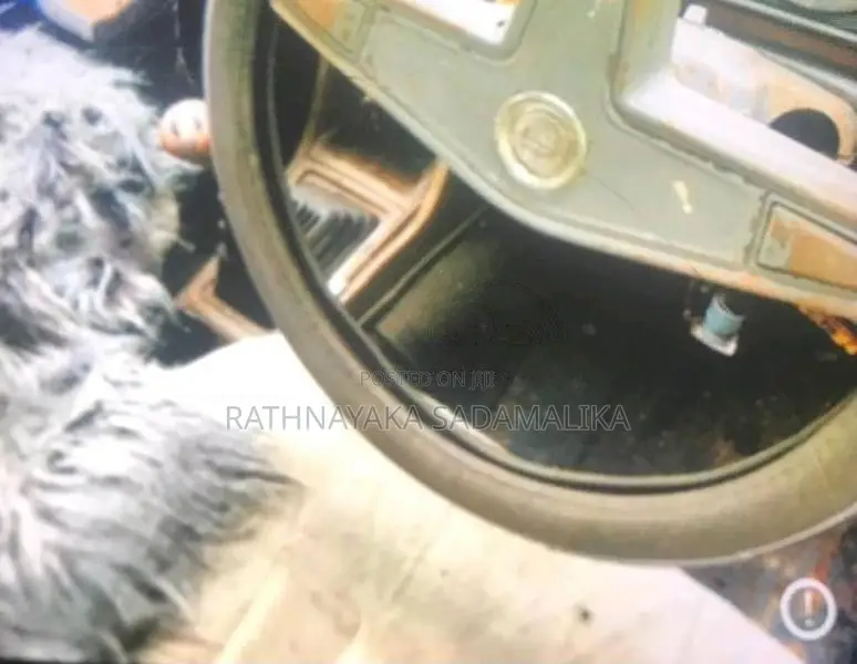 Nissan Sunny 1980 Car (Used)