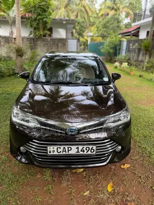 Toyota Axio 2016 Car (Used)