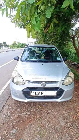 Suzuki Alto 2015 Car (Used)