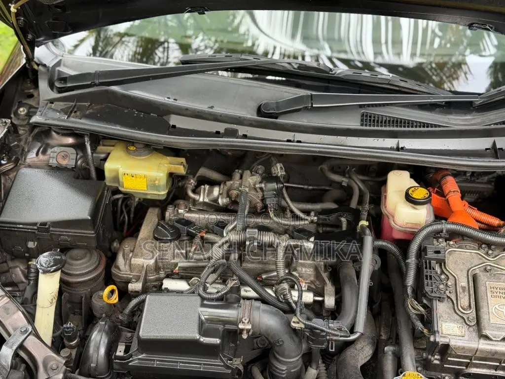 Toyota Axio 2016 Car (Used)