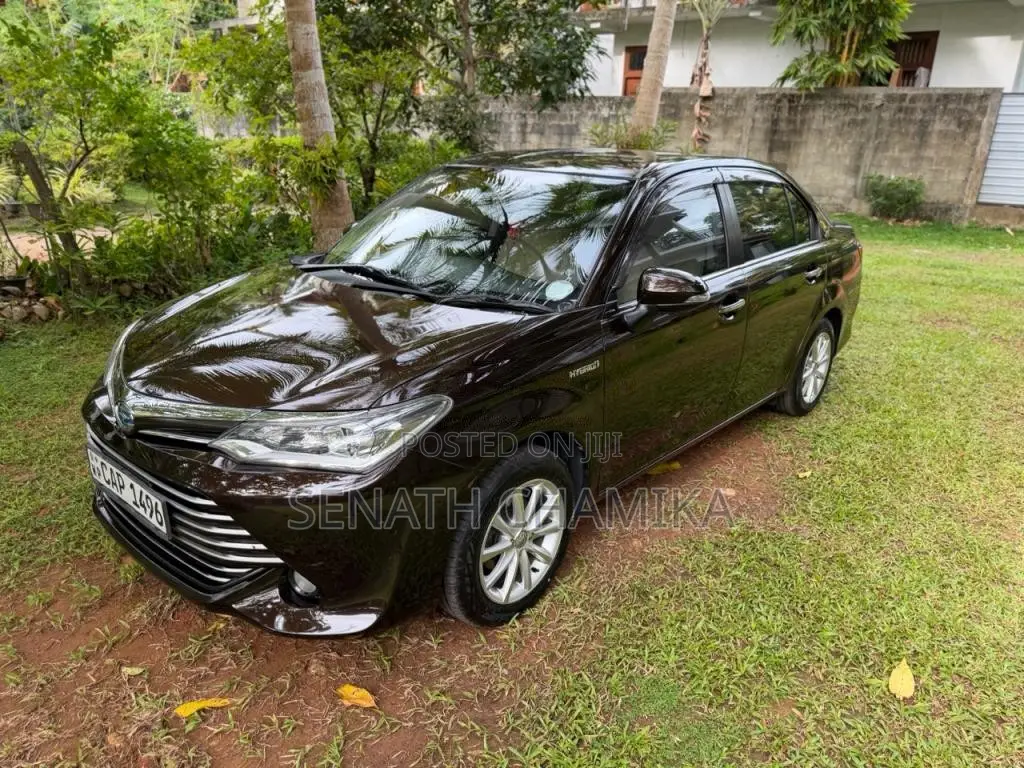 Toyota Axio 2016 Car (Used)