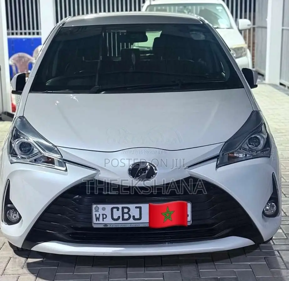 Toyota Vitz 2019 Car (Used)