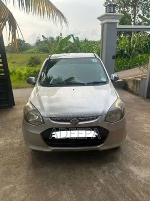 Suzuki Alto 2015 Car (Used)